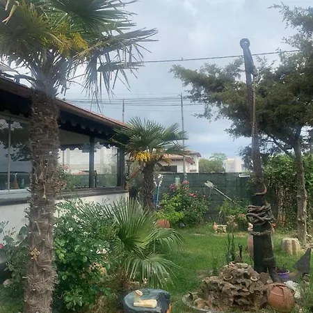 La Doi Pasi De Mare 4*