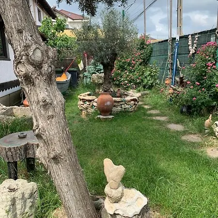 La Doi Pasi De Mare 4* 바마베체