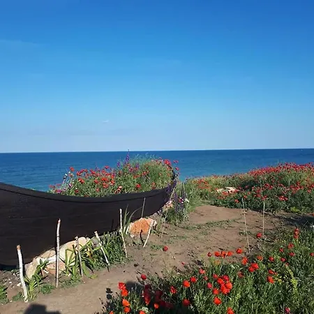 게스트하우스 La Doi Pasi De Mare 4*