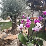 La Doi Pasi De Mare Guest house 4*