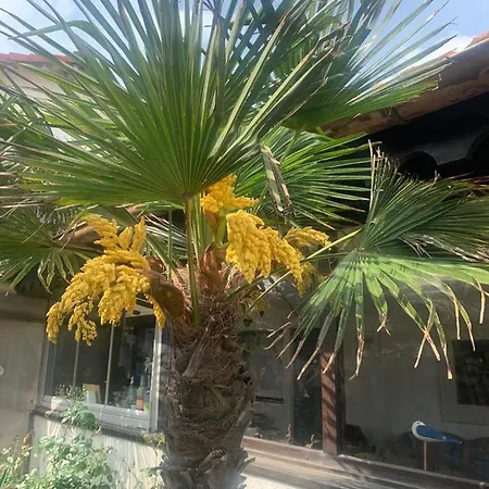 La Doi Pasi De Mare Guest house