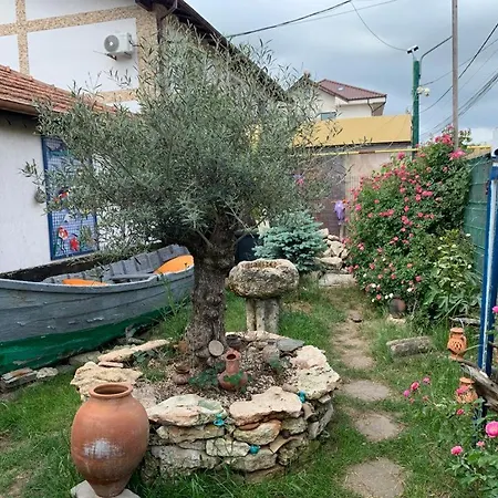 La Doi Pasi De Mare Guest house 4*
