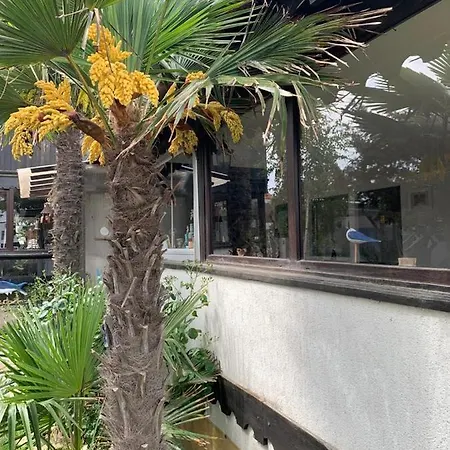 La Doi Pasi De Mare Guest house 4*