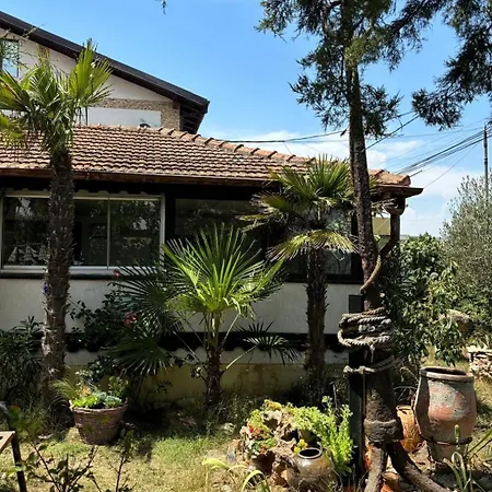 La Doi Pasi De Mare 4* Vama Veche