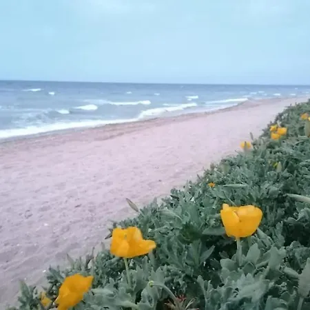 Pensiune La Doi Pasi De Mare