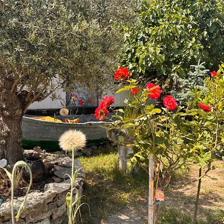 بيت ضيافة La Doi Pasi De Mare 4*