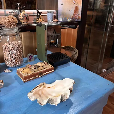 La Doi Pasi De Mare بيت ضيافة