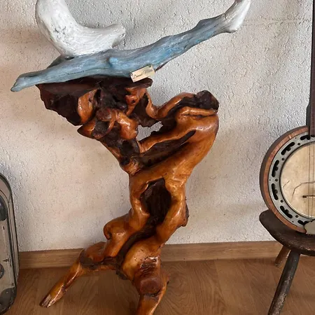 بيت ضيافة La Doi Pasi De Mare