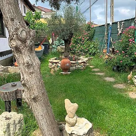Guest house La Doi Pasi De Mare