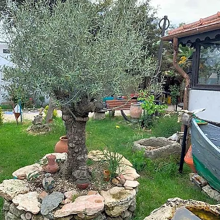 La Doi Pasi De Mare Guest house Vama Veche
