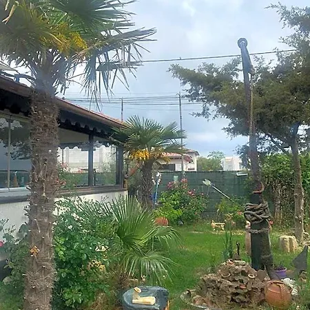 La Doi Pasi De Mare