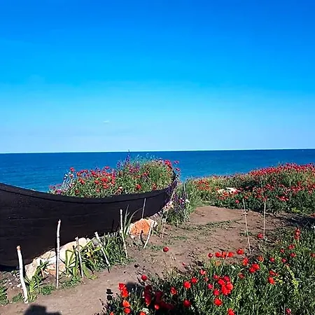 La Doi Pasi De Mare Vama Veche
