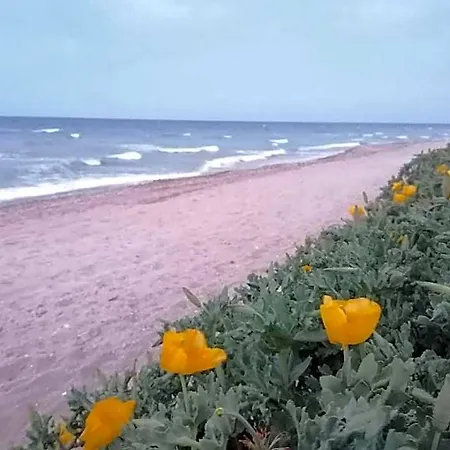 La Doi Pasi De Mare Vama Veche