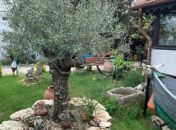 La Doi Pasi De Mare 4*