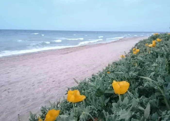 Guest house La Doi Pasi De Mare