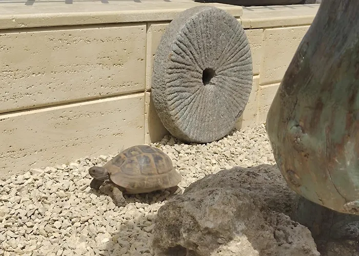 La Doi Pasi De Mare 4* Vama Veche